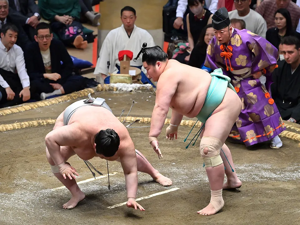 大相撲 今日 の 結果 （力士たちの闘いを振り返る）
