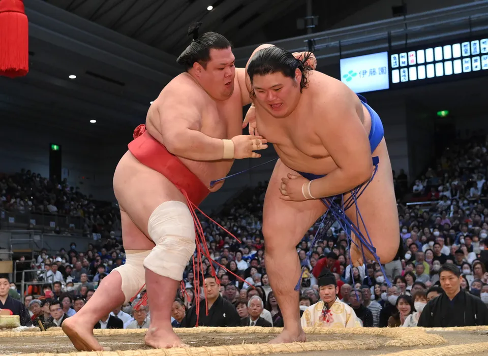 金星相撲の歴史と伝統 力士たちの栄光と挑戦