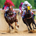 競馬――日本の伝統と現代の融合