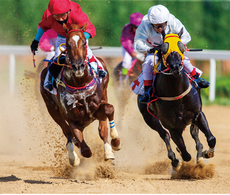 競馬――日本の伝統と現代の融合
