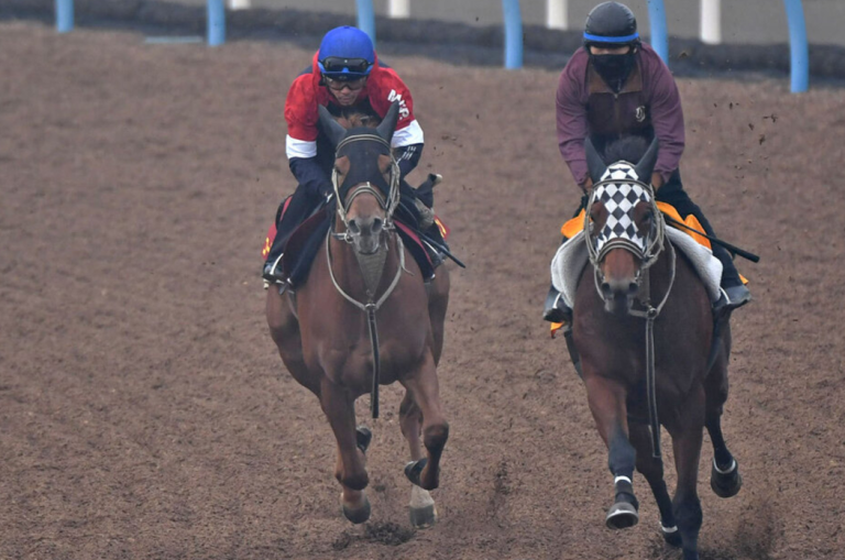 【阪神ＪＦ2024】戸崎圭が初乗りで新馬コートアリシアンの実力を確認、注目のレース展開