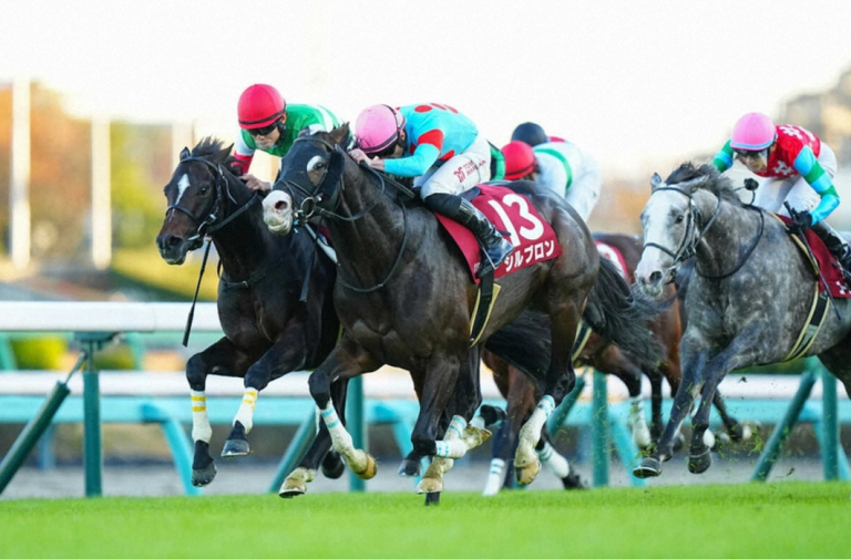 ステイヤーズSの接戦、わずか2センチ差で決着