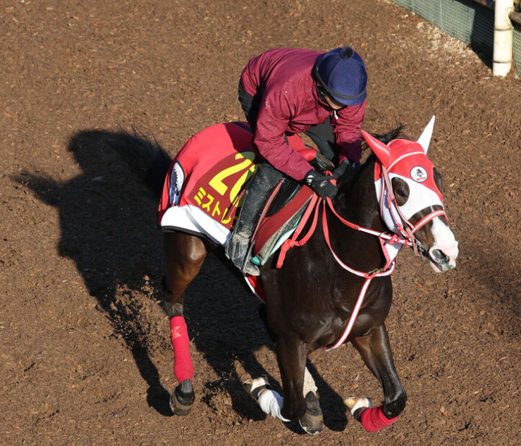 矢作調教師、阪神JF前日に戦略を確認「モズは先行させない、ミストレスは展開次第」