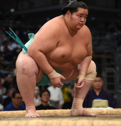 琴櫻、初優勝を果たし綱取りに向けた足がかりを作る