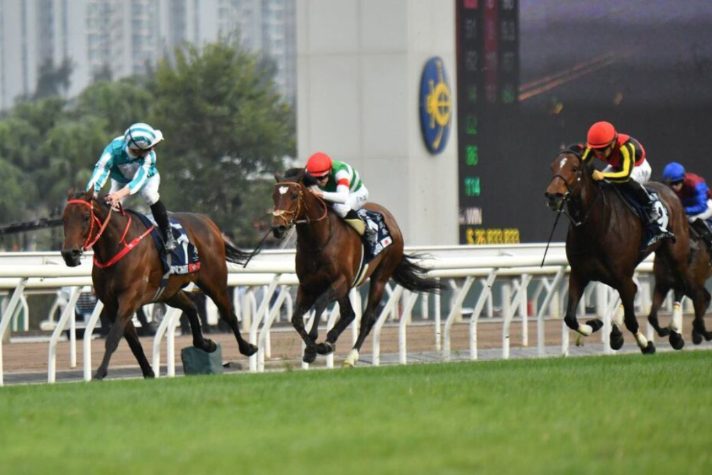 【香港カップ】リバティアイランドが2着 川田騎手「いい状態で競馬を迎えた」 【香港カップ】リバティアイランドが2着 川田騎手「いい状態で競馬を迎えた」