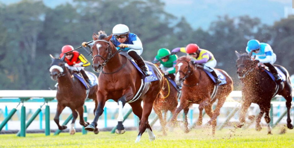 アドマイヤズーム、朝日杯FSを制し2歳マイル王に 川田騎手と友道師が語る成長と期待 アドマイヤズーム、朝日杯FSを制し2歳マイル王に 川田騎手と友道師が語る成長と期待