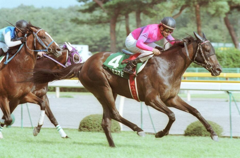 オースミコスモが25歳で死亡、重賞3勝の名牝馬