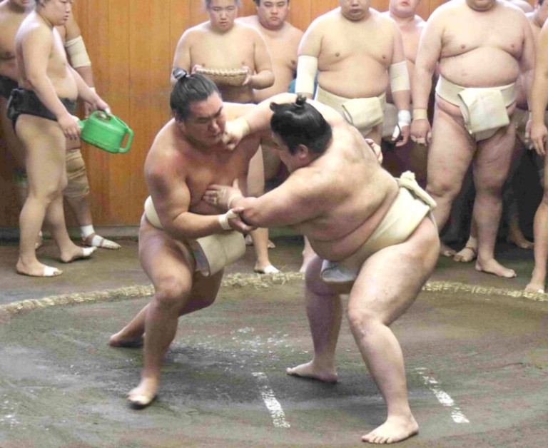 豊昇龍、今年初の稽古で16番全勝　得意の突き押しで圧倒的な内容