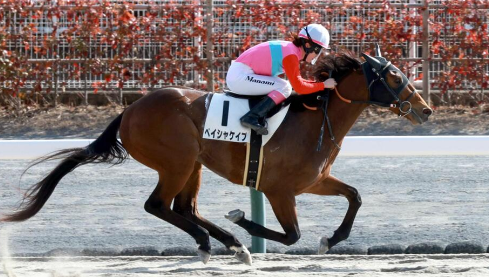 永島まなみ、今年初勝利を飾る JRA所属女性ジョッキーでトップに 永島まなみ、今年初勝利を飾る JRA所属女性ジョッキーでトップに
