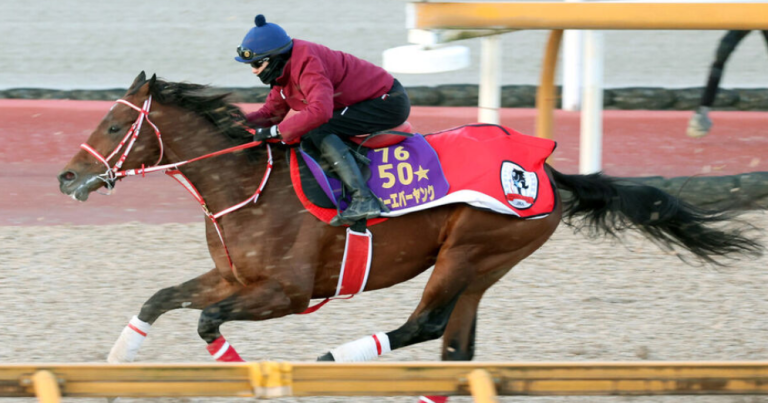 サウジカップに米国勢回避続出、日本馬にチャンス到来か？注目の「エバヤン」に注目集まる