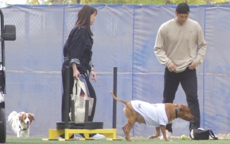 ドジャースの大谷翔平、愛犬たちと共にキャンプ地で和やかなひととき