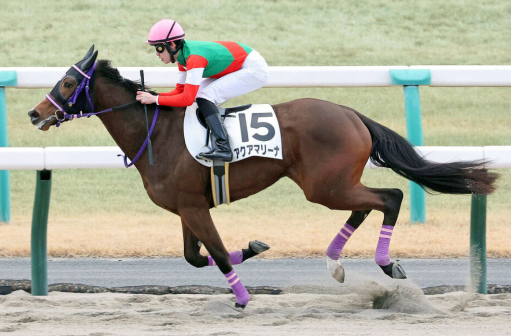 アクアマリーナが京都新馬戦で圧勝 斎藤新騎手「言うことないレース」 アクアマリーナが京都新馬戦で圧勝 斎藤新騎手「言うことないレース」