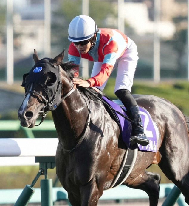 G1スプリンターズSを制した名馬ジャンダルムが急逝、享年10歳 