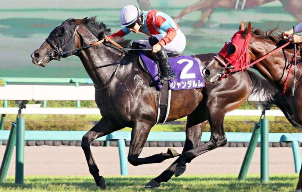 G1スプリンターズS覇者ジャンダルムが不慮の事故で急逝 種牡馬としての未来に期待 G1スプリンターズS覇者ジャンダルムが不慮の事故で急逝 種牡馬としての未来に期待