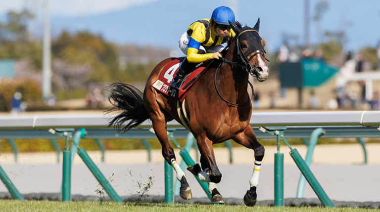 金鯱賞2025：プログノーシスの3連覇に注目！データ分析で浮かび上がる有力馬たち 