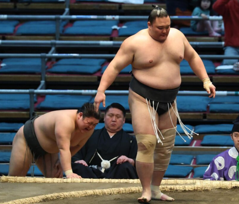 元大関・朝乃山、18歳新鋭を下し3連勝！「ザンバラの力士には負けられない」 