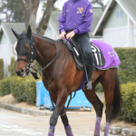 武豊騎手の56歳バースデー、ドウデュース弟・エンダードラゴンで勝利を目指す 